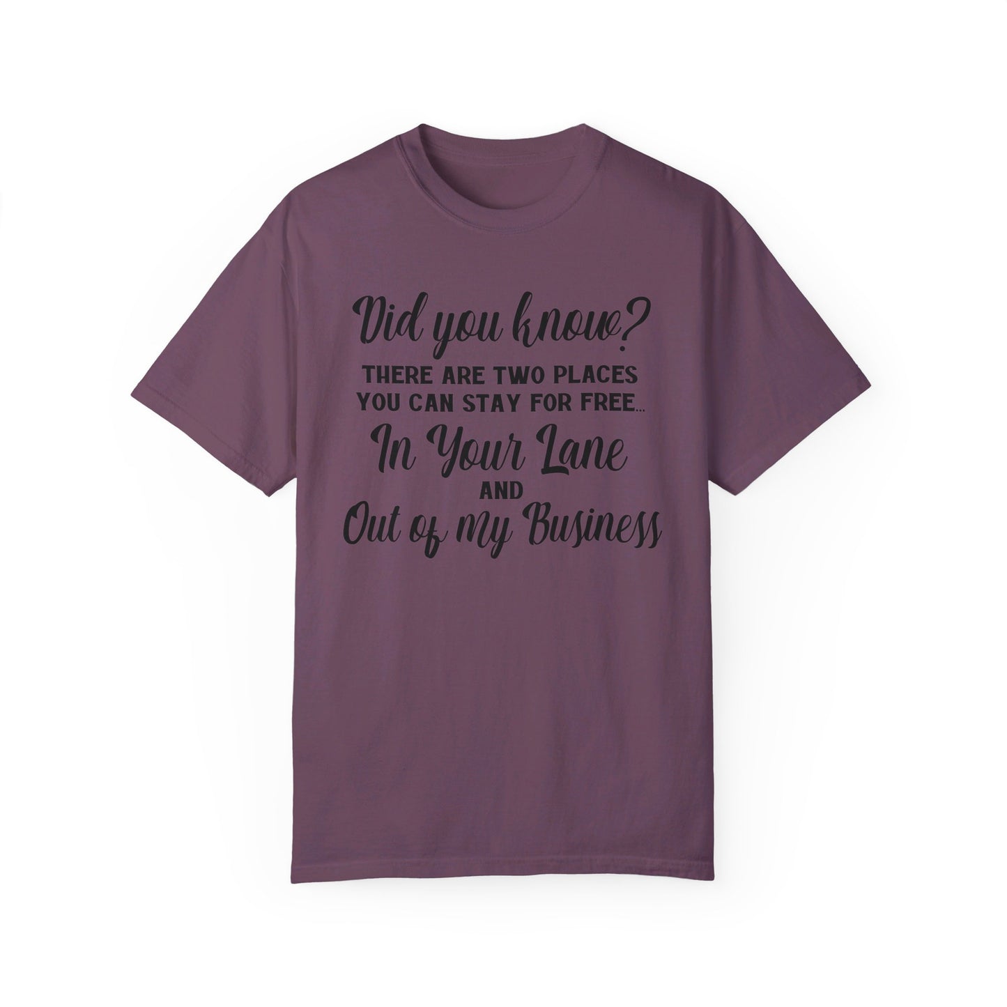 Did you know? Comfort Colors Oversized T-Shirt